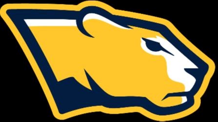 Panther head logo